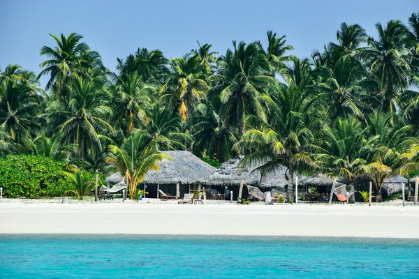 Voyage aux Etats-Unis : les meilleures villes pour faire la fête